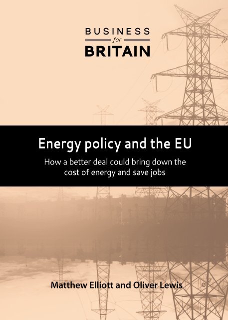 BFBEnergyPaper