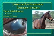 examination of the eye: methods of diagnosis and instrumentation