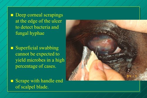 examination of the eye: methods of diagnosis and instrumentation