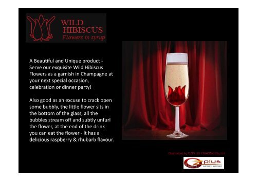 Wild Hibiscus.pdf (english version) - Ozplus.com