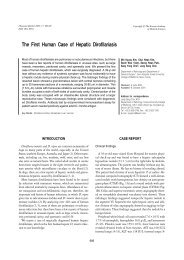 The First Human Case of Hepatic Dirofilariasis - Journal of Korean ...