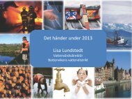 Det hÃ¤nder under 2013 Lisa Lundstedt - Vattenmyndigheterna