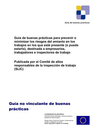 GuÃ­a de buenas prÃ¡cticas para prevenir o minimizar los ... - CCOO