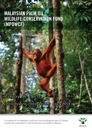 malaysian palm oil wildlife conservation fund (mpowcf)