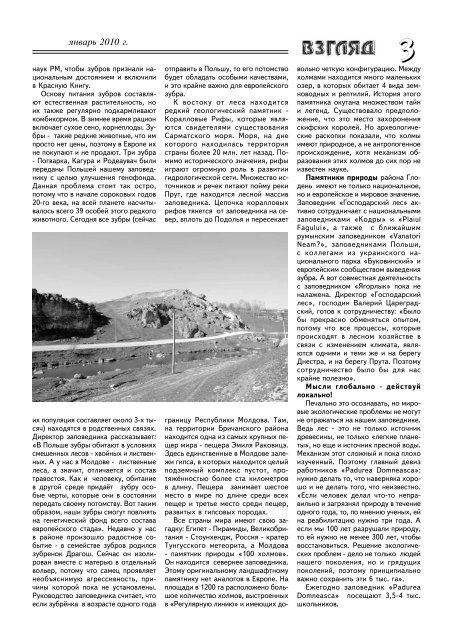 Issue 10 - Eco - Tiras