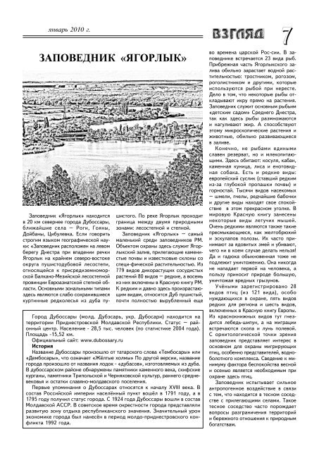 Issue 10 - Eco - Tiras
