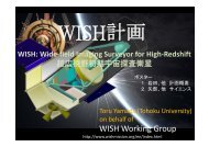 WISH Working Group