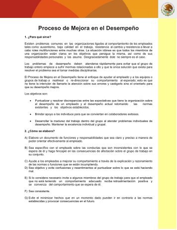 Proceso de Mejora en el Desempeño - Dirección General de ...