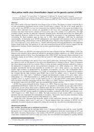 Rice yellow mottle virus diversification impact on the ... - AfricaRice