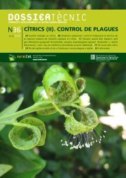 Dossier tècnic núm. 36: Cítrics (II). Control de plagues, en ... - RuralCat