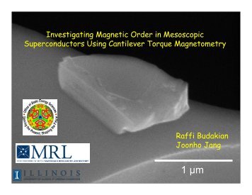 Raffi Budakian Joonho Jang Investigating Magnetic Order in ...