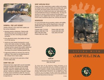 Keep Javelina Wild! - Arizona Game and Fish Department