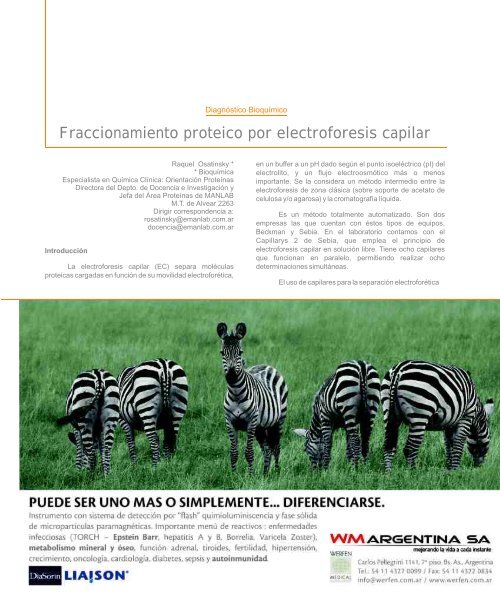 Fraccionamiento proteico por electroforesis capilar - Revista ...