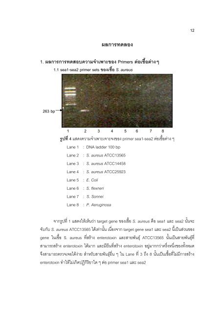 S. aureus - Faculty of Pharmacy, Mahidol University