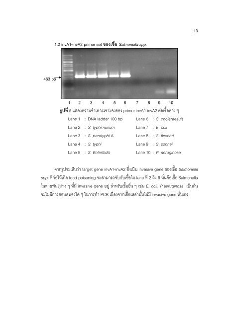 S. aureus - Faculty of Pharmacy, Mahidol University