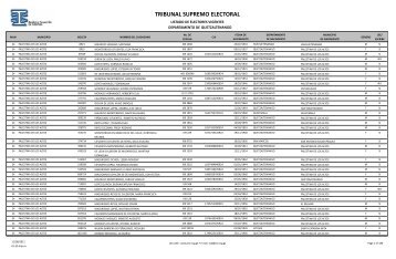 TRIBUNAL SUPREMO ELECTORAL