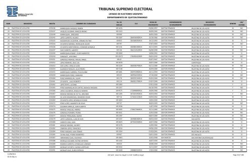 TRIBUNAL SUPREMO ELECTORAL