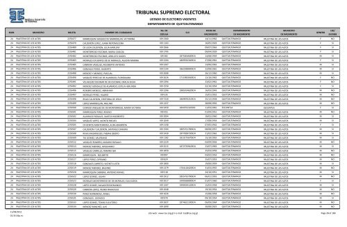 TRIBUNAL SUPREMO ELECTORAL