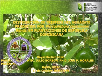 PRODUCIDA POR Phytophthora cinnamomi Phytophthora ... - CEDAF