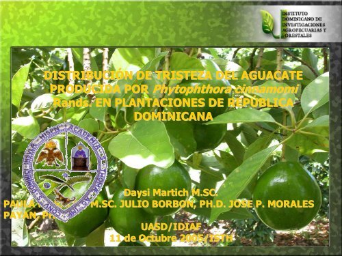 PRODUCIDA POR Phytophthora cinnamomi Phytophthora ... - CEDAF