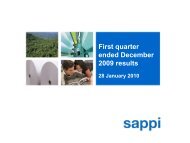 1Q 2010 Results presentation - Sappi