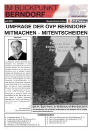 Online Zeitung 07-2008 - ÃVP Salzburg