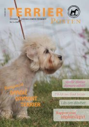 nr 3 - Svenska Terrierklubben