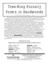 Tree-Ring Porosity Forms in Hardwoods - University of Georgia