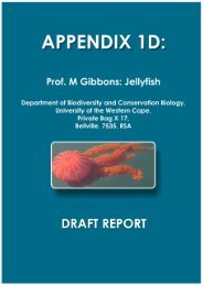 Appendix 1d - Jellyfish Study.pdf - Enviro Dynamics Namibia