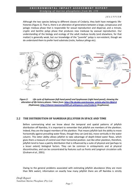 Appendix 1d - Jellyfish Study.pdf - Enviro Dynamics Namibia