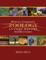 MCZ Annual Report 2010-2011 - Museum of Comparative Zoology ...