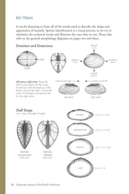 Freshwater Mussels Pacific Northwest - State Water Resources ...