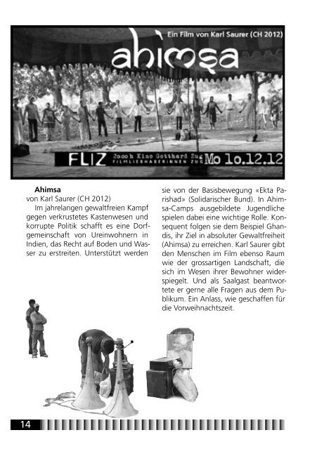 Jahresbericht 2012 - FLIZ
