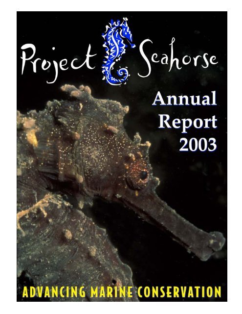 Seahorse Research - About the Philippines