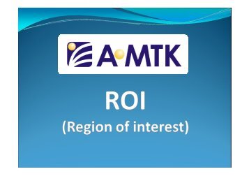 ROI (Region of Interesting) - A-MTK Co., Ltd.