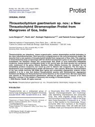 Thraustochytrium gaertnerium sp. nov.: a New Thraustochytrid - CCMB
