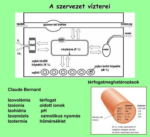 3. elÅadÃ¡s