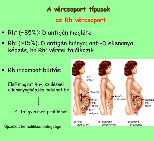 3. elÅadÃ¡s