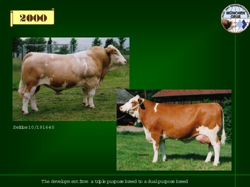 Strategy of the Dual Purpose Breeding - WSFF