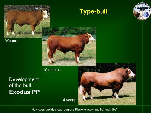 Strategy of the Dual Purpose Breeding - WSFF