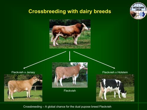 Strategy of the Dual Purpose Breeding - WSFF