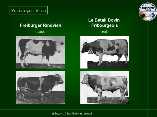 Strategy of the Dual Purpose Breeding - WSFF