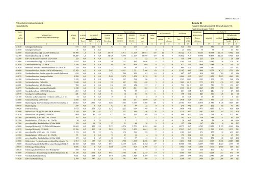 (PKS) 2010 - Daten-Speicherung.de – minimum data, maximum ...