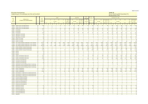 (PKS) 2010 - Daten-Speicherung.de – minimum data, maximum ...