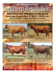 Southern Revolution 2012.indd - Advanced Video Auctions