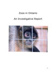Zoos In Ontario: An Investigative Report (1995) - Zoocheck Canada