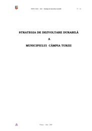 strategia de dezvoltare durabilÄ a municipiului cÃ¢mpia turzii