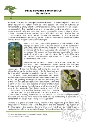 Belize Savanna Factsheet C8 Parasitism - Research