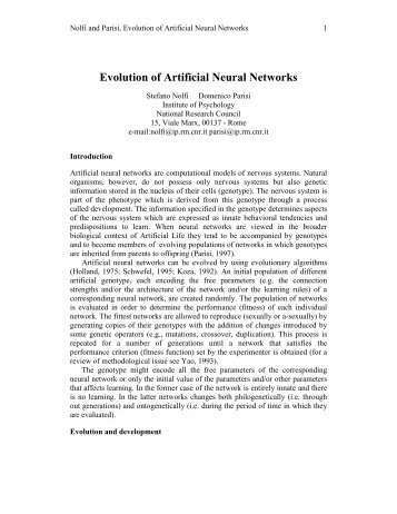 Evolution of Artificial Neural Networks - laral