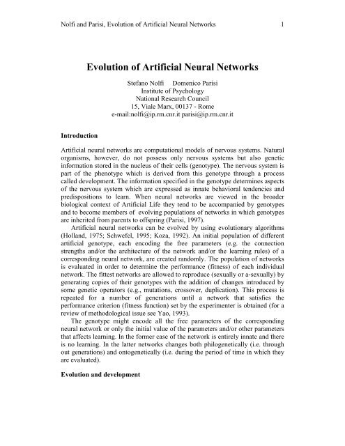 Evolution of Artificial Neural Networks - laral